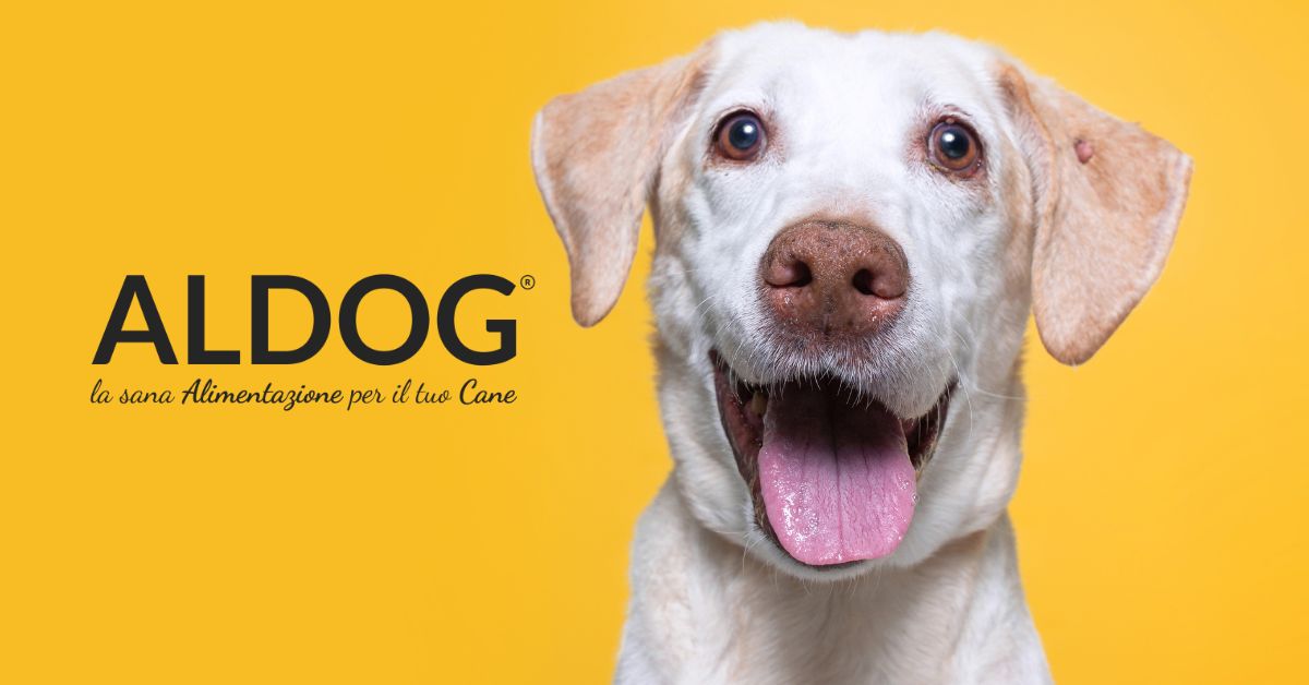Logo AlDog